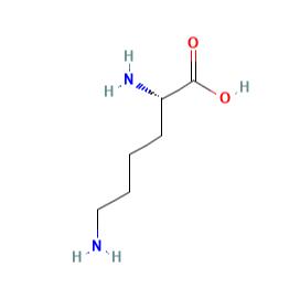 L-赖氨酸（是什么，性质，结构，用途）