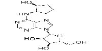 124555-18-6