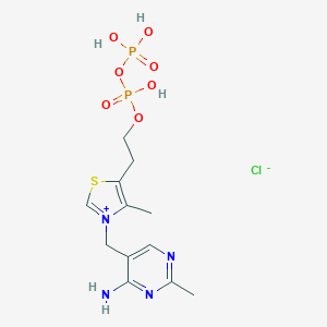 焦磷酸硫胺素