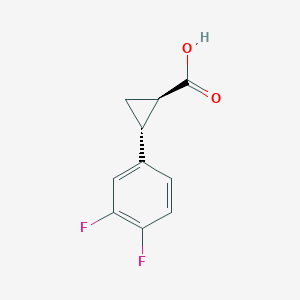   - 范德生物 BIOFOUNT