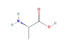 丙氨酸（是什么，性质，结构，作用机制）