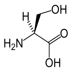 丝氨酸的（介绍，功能，食物来源）