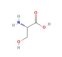 丝氨酸（是什么，性质，结构，用途）