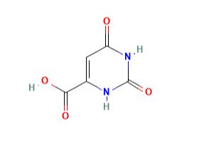 乳清酸（是什么，性质，结构，用途）