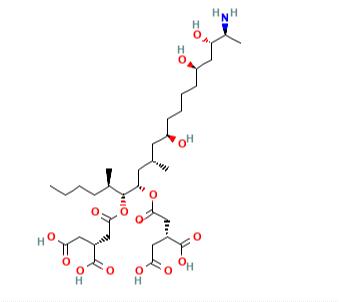 伏马菌素B1（是什么，性质，结构，作用机制）