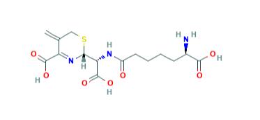 头孢菌素（是什么，结构，作用机制，分类）