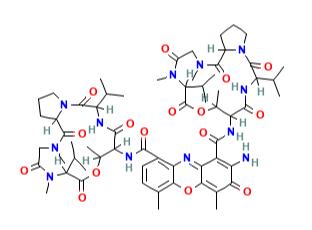 放线菌素D（是什么，性质，结构，作用机制）