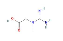 肌酸（是什么，性质，结构，药理学）