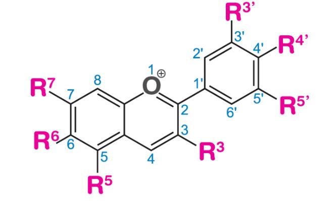 花青素（是什么，分类，结构，用途）