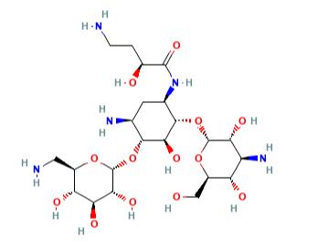 阿米卡星（是什么，性质，结构，药理学）