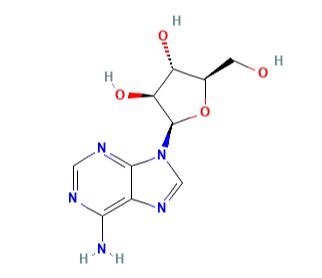 阿糖腺苷（是什么，性质，结构，药理学）