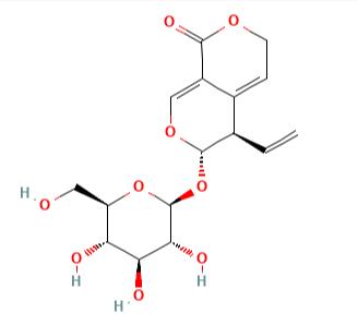 龙胆苦苷（是什么，性质，结构，药理学）